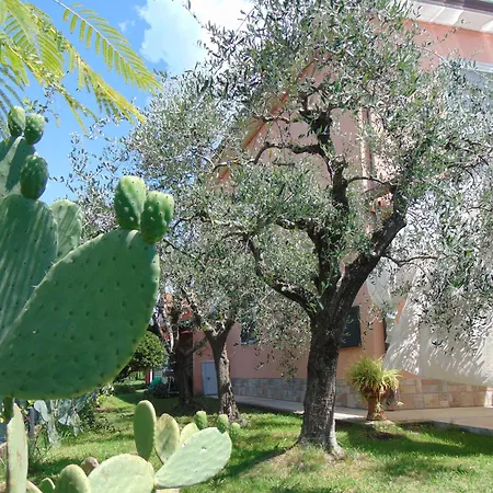 Ca'melia * Sarzana