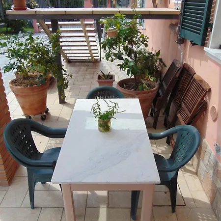 Ca'melia Apartment