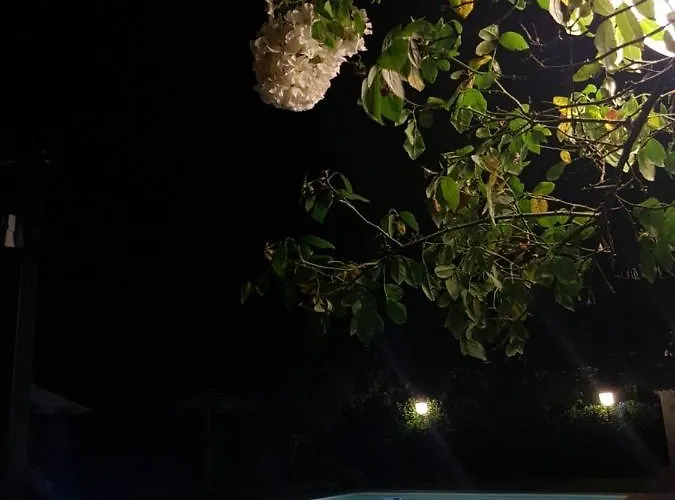 Ca'melia Lejlighed *